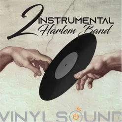 VINYL SOUND Instrumental, Vol.2