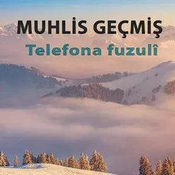 Telefona Fuzuli