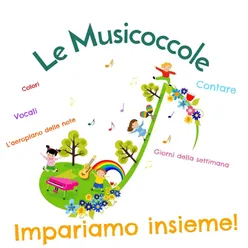 Impariamo insieme