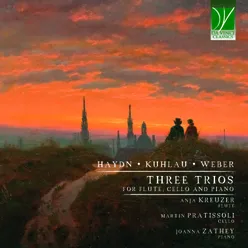 Trio for Flute, Cello and Piano in G Major, Op. 119: I. Allegretto moderato