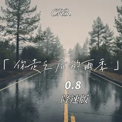 你走之后的雨季