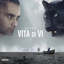 Vita di Vi