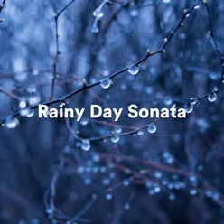 Rainy Day Sonata