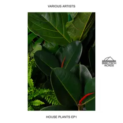 House Plants 1 - EP