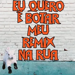 Eu quero é botar meu remix na rua