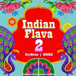 Indian Flava 2