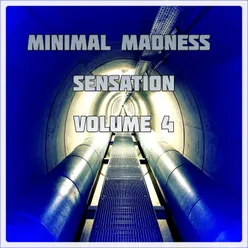 Minimal Madness Sensation, Vol.4