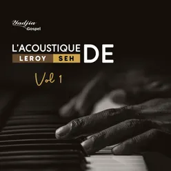 L'acoustique de Leroy Seh, vol. 1