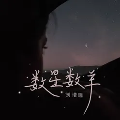 数星数羊