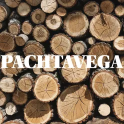 PACHTAVEGA