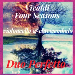 L'Inverno in F Minor, RV 297: I. Allegro non molto