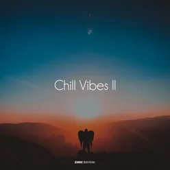 Chill Vibes II