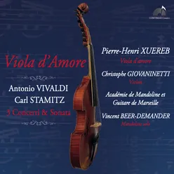 Sonate pour viole d'amour et violon in D Major: IV. Allegro