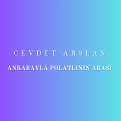 Ankarayla Polatlının Arası