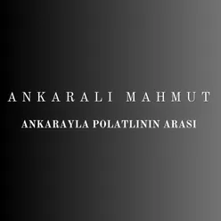 Ankarayla Polatlının Arası