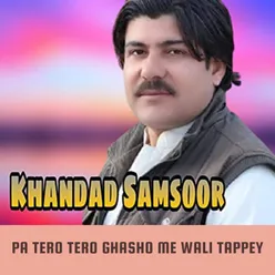 Pa Tero Tero Ghasho Me Wali Tappey