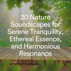 20 Nature Soundscapes for Serene Tranquility, Ethereal Essence, and Harmonious Resonance