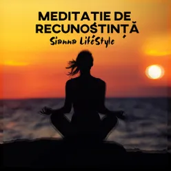 Meditație De Recunoștință