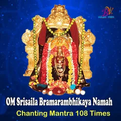 OM SRISAILA BRAMARABHIKA DEVI NAMAH MANTRA CHANTING 108 TIMES