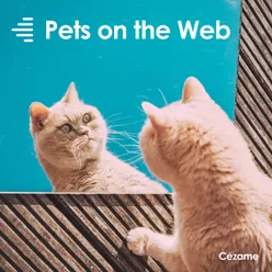 Pets on the Web