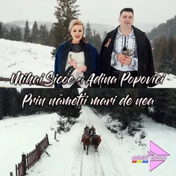 Prin nămeții mari de nea