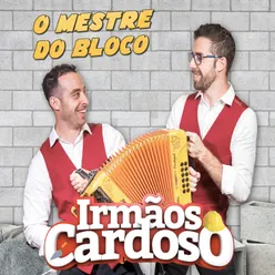 O Mestre Do Bloco