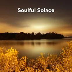 Soulful Solace