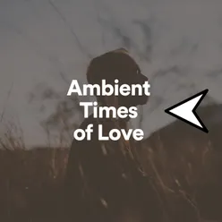 Ambient Times of Love, Pt. 5