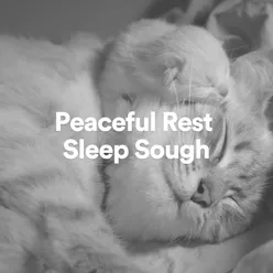 Peaceful Rest Sleep Sough, Pt. 17
