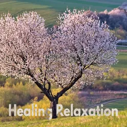 Healing Relaxation