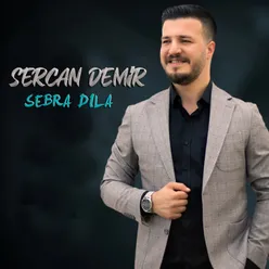 Sebra Dıla