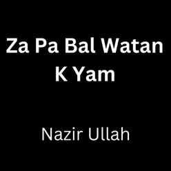 Za Pa Bal Watan K Yam