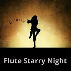 Flute starry night