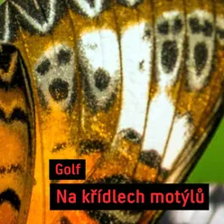 Na křídlech motýlů