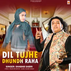 Dil Tujhe Dhundh Raha