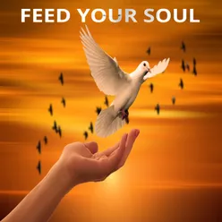 Feed your soul