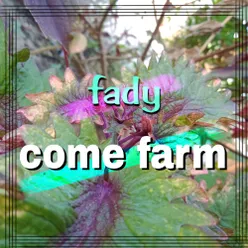 come farm six yoy