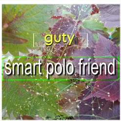 car silver smart polo friend