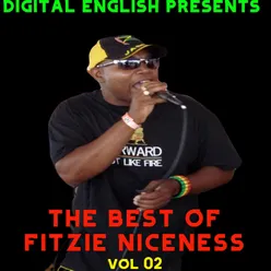 DIGITAL ENGISH PRESENTS THE BEST OF FITZIE NICENESS, Vol. 2