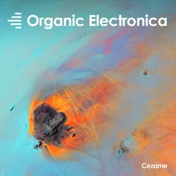 Organic Electronica