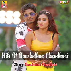Hits Of Banshidhar Chaudhari
