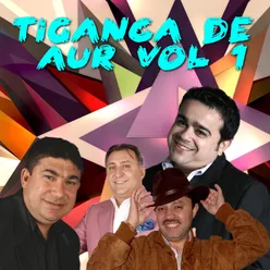 Tiganca de aur, Vol. 1