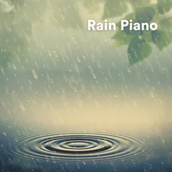 A Placid Rain