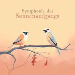 Symphonie des Sonnenaufgangs