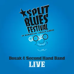 Split Blues Festival