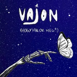 Vajon