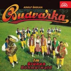 Polka aus Třeboň