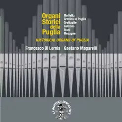 Historical Organs of Puglia: Grottaglie, Collegiata Maria SS. Annunziata, Organo Anonimo, XVI sec.