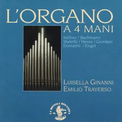 L'organo a 4 mani