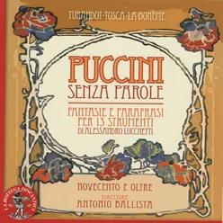 Lucchetti & Puccini : Fantasie e parafrasi per 13 instrumenti